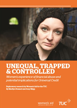 Financial Abuse Report